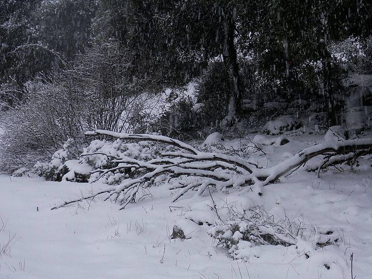 Así ha lucido hoy la provincia helada