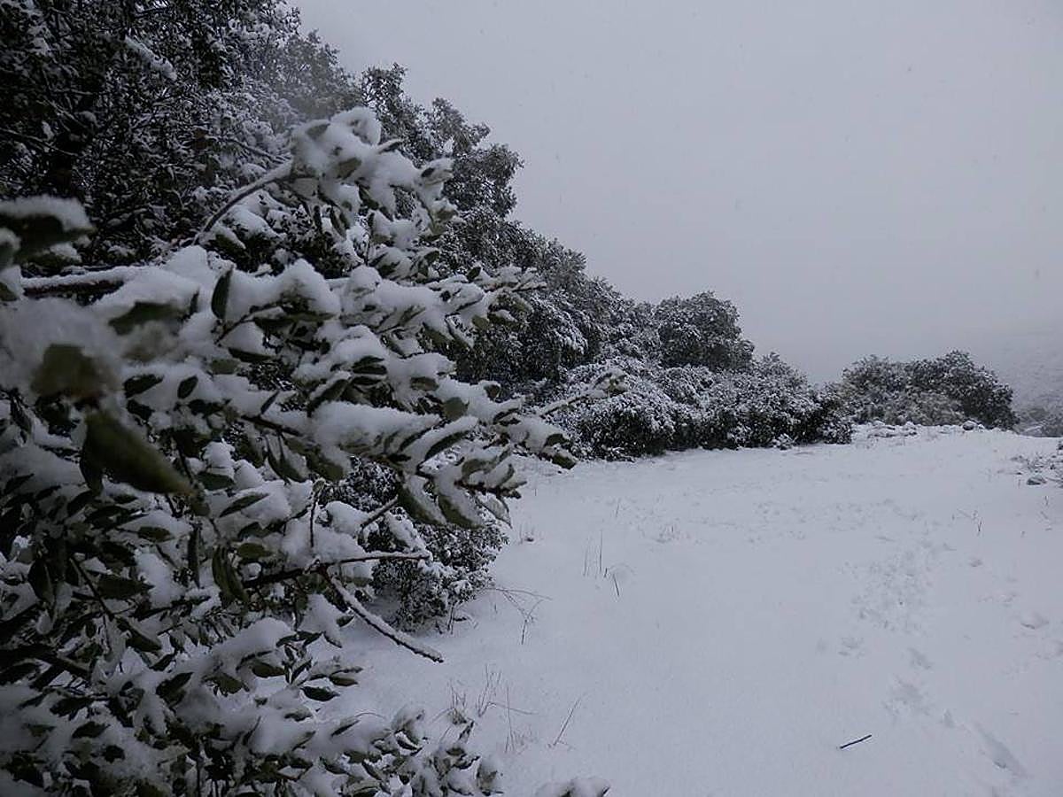 Así ha lucido hoy la provincia helada
