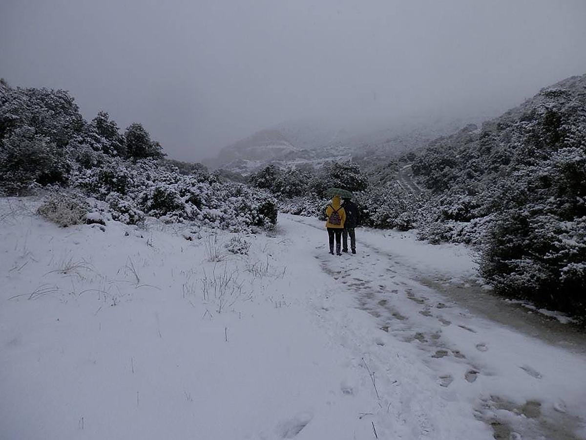 Así ha lucido hoy la provincia helada