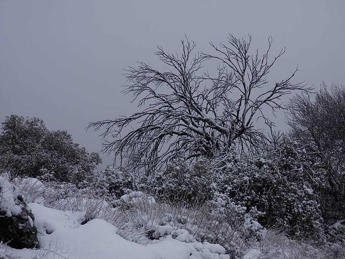 Así ha lucido hoy la provincia helada