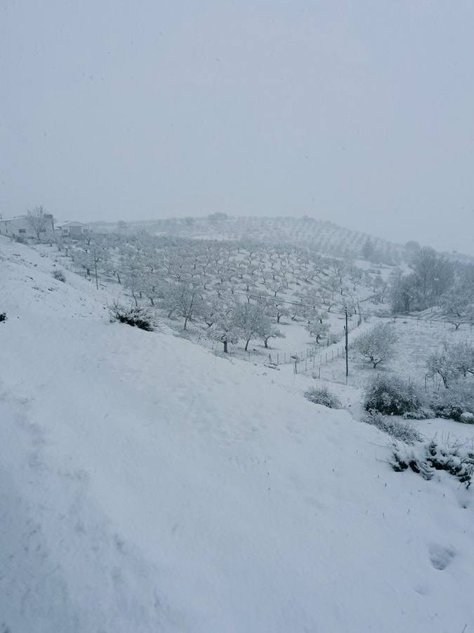 Así ha lucido hoy la provincia helada