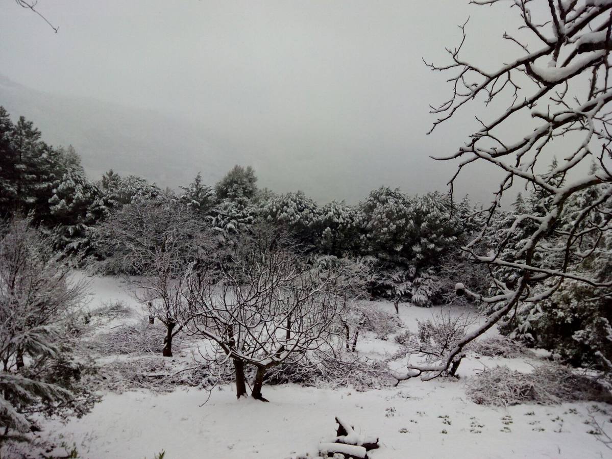 Así ha lucido hoy la provincia helada
