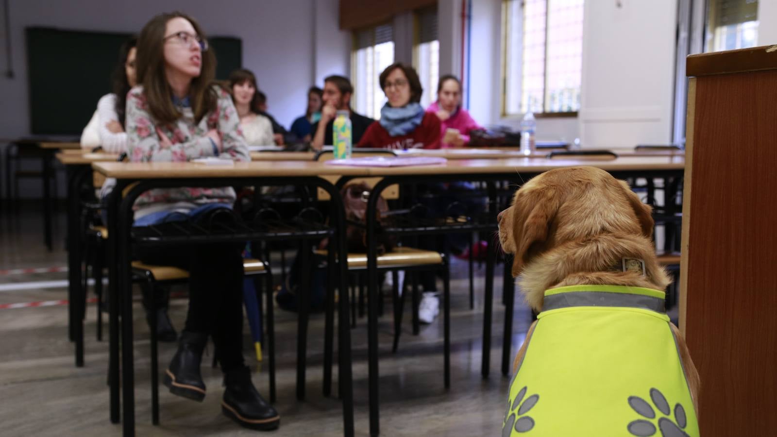 Los perros también &#039;enseñan&#039; en la UGR