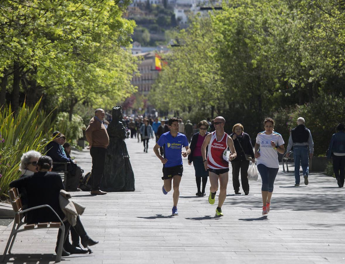 Granada apuesta por su medio maratón