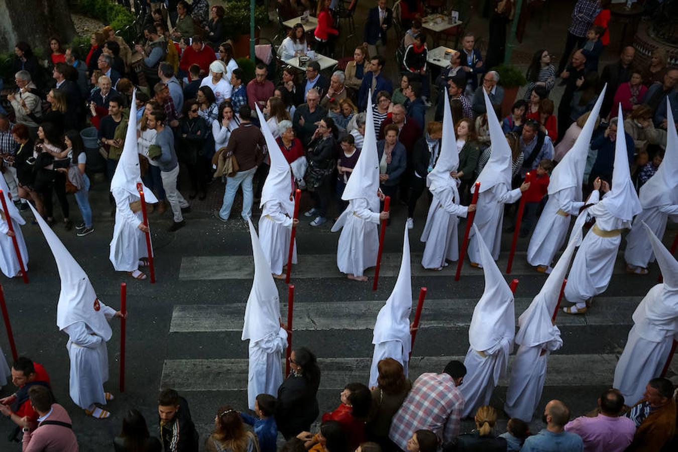 El Domingo de Ramos en Granada (II)