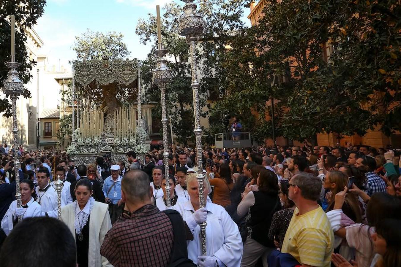 El Domingo de Ramos en Granada