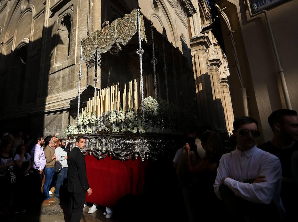 El Domingo de Ramos en Granada