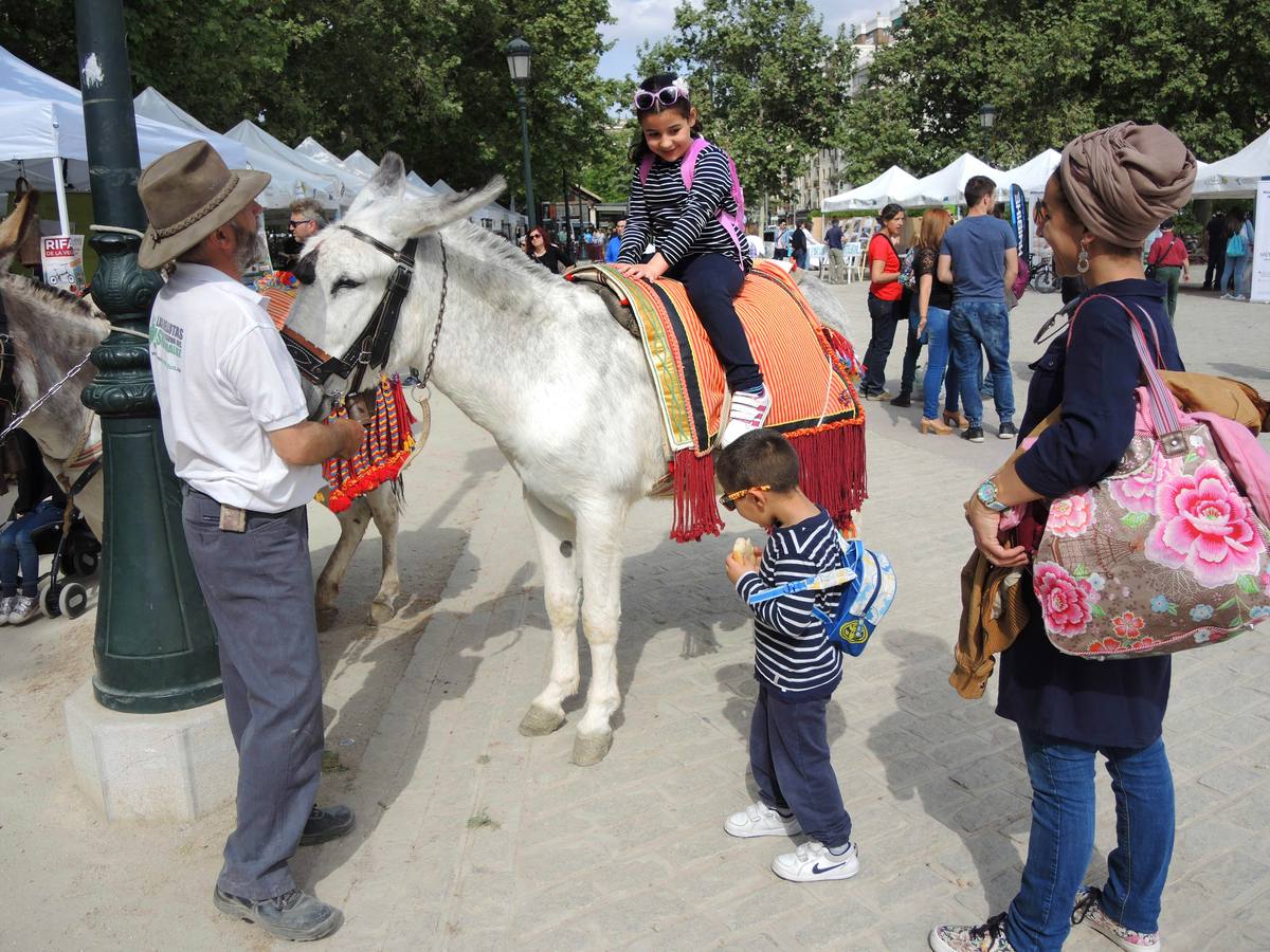 La Vega es una fiesta