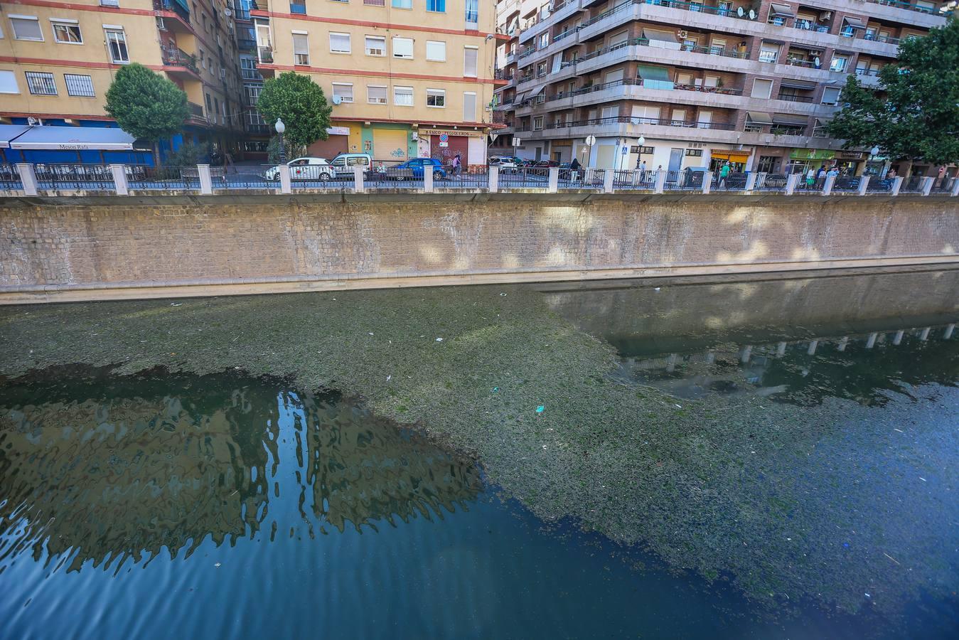 Un río de mosquitos y suciedad en Granada