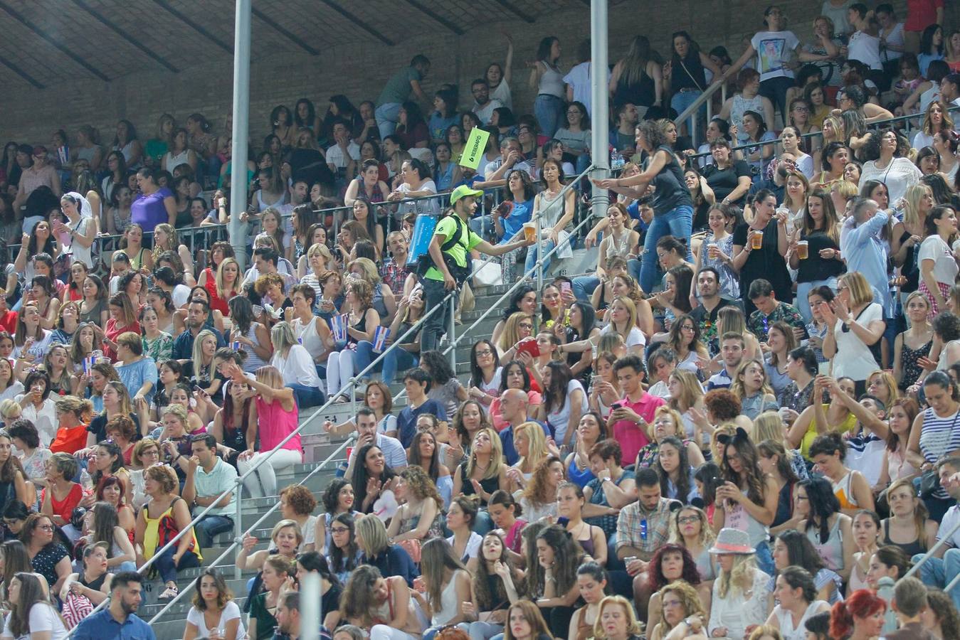 El mejor ambiente en el concierto de Ricky Martin en Granada