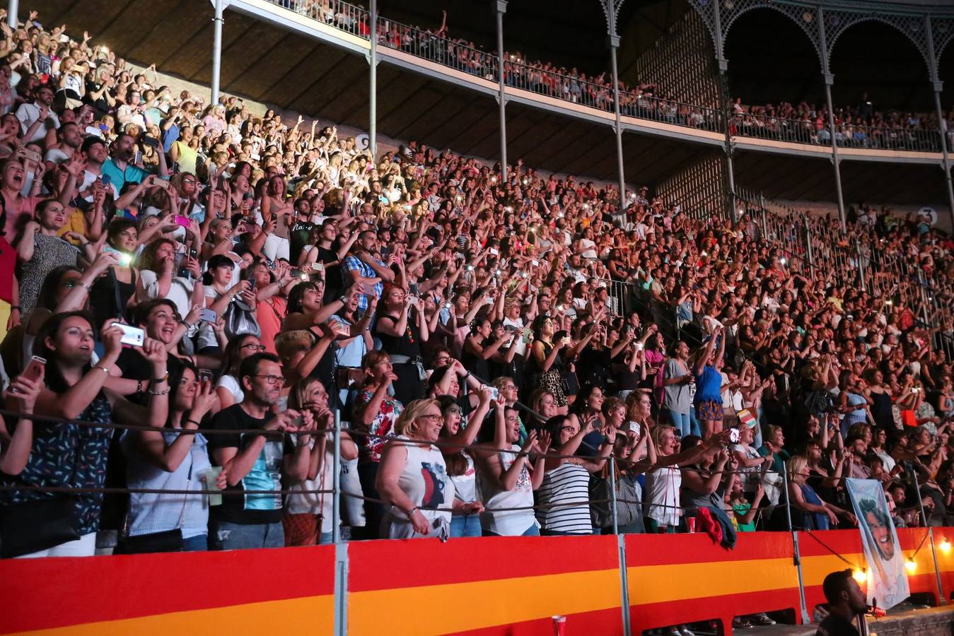 El mejor ambiente en el concierto de Ricky Martin en Granada