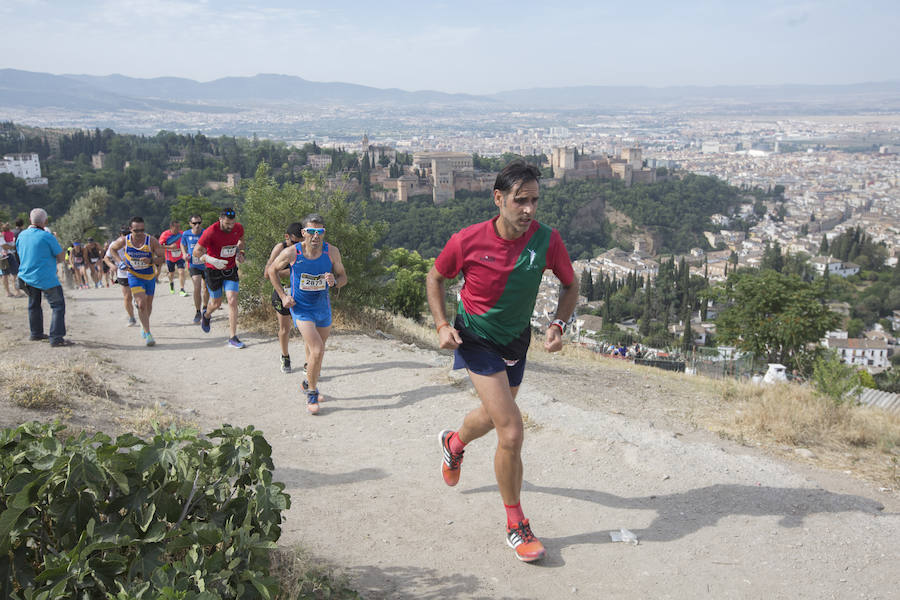Con la Alhambra al fondo (II)