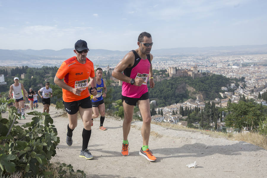 Con la Alhambra al fondo (II)