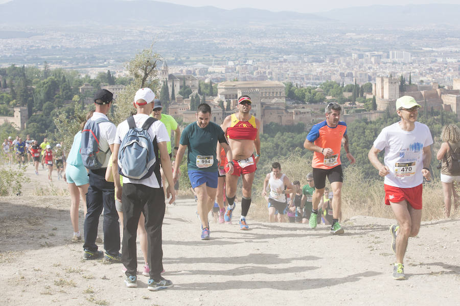 Con la Alhambra al fondo (III)