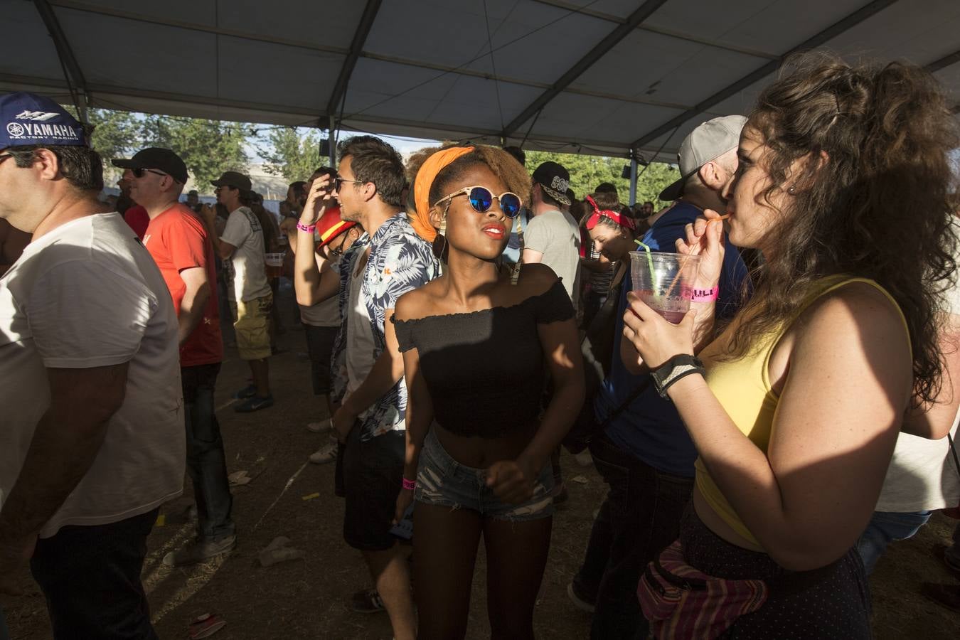 Bull Music: para todos los públicos