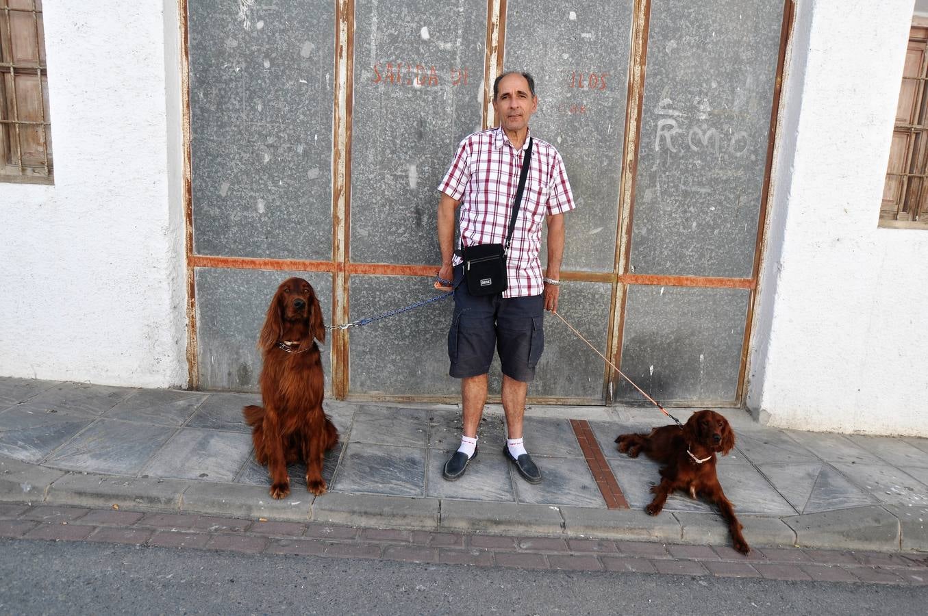 Cádiar celebra la V Carrera Popular del Hornazo y la Caminata Senderista por su término municipal