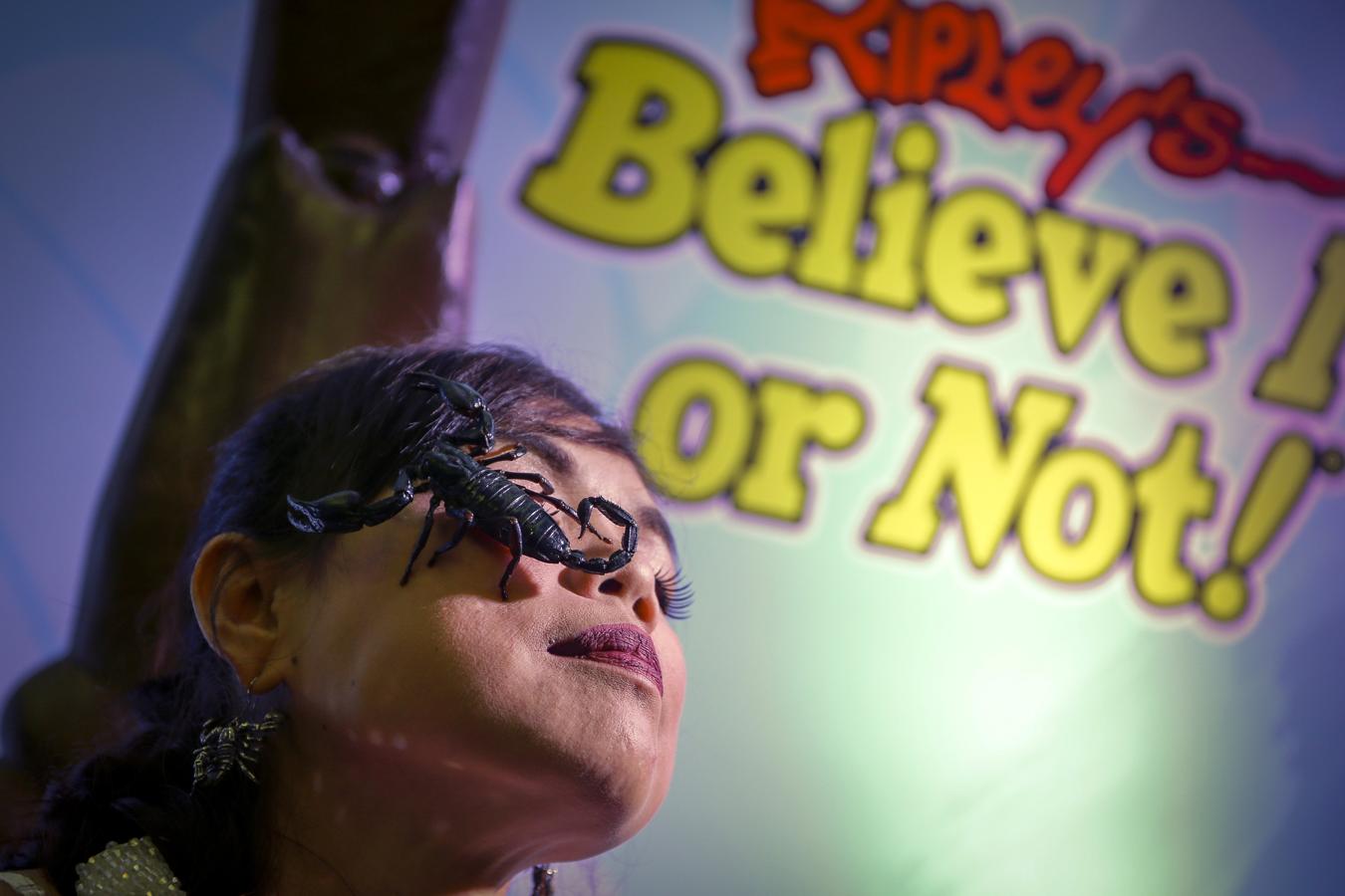 Así bate el Récord Guiness de permanecer más tiempo con un escorpión en su boca