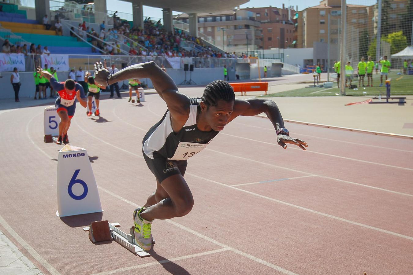 Granada luce en su fiesta del tartán