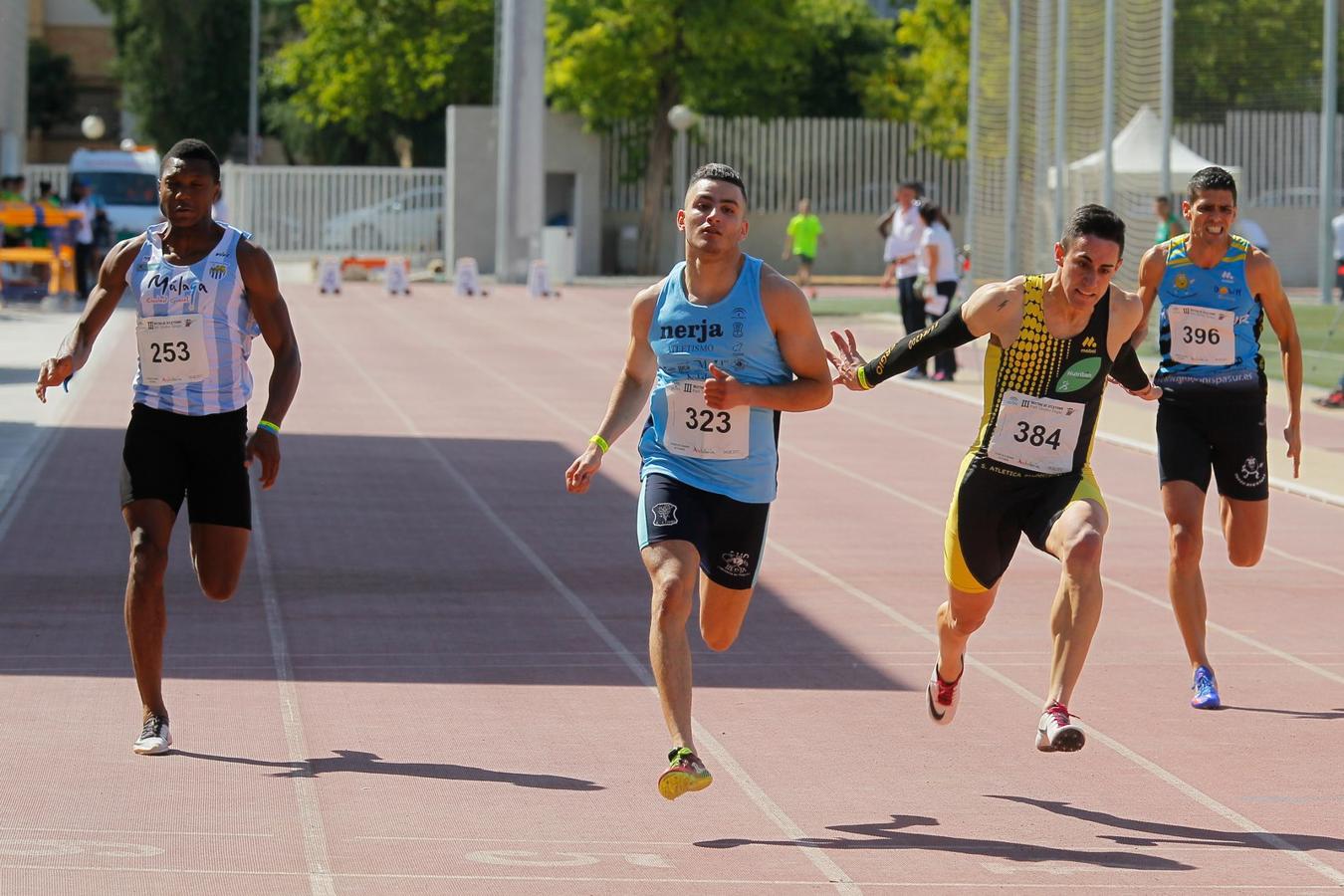 Granada luce en su fiesta del tartán