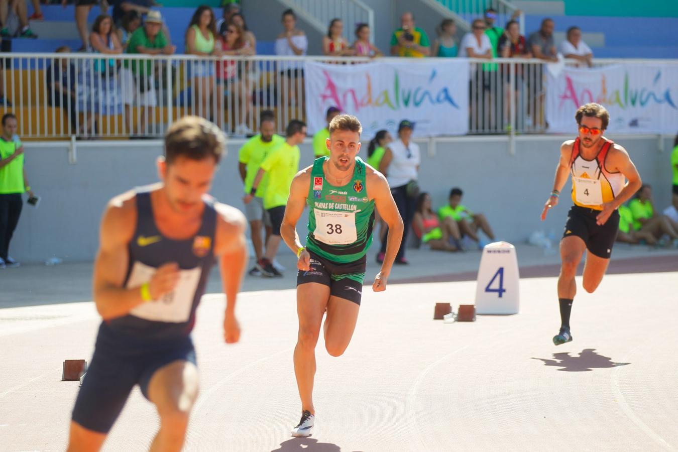 Granada luce en su fiesta del tartán