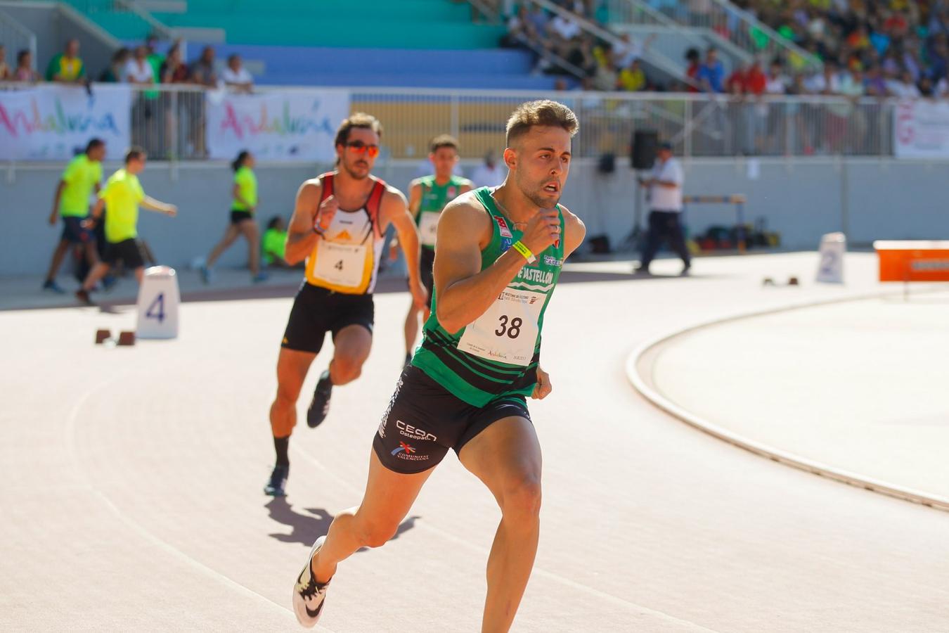 Granada luce en su fiesta del tartán