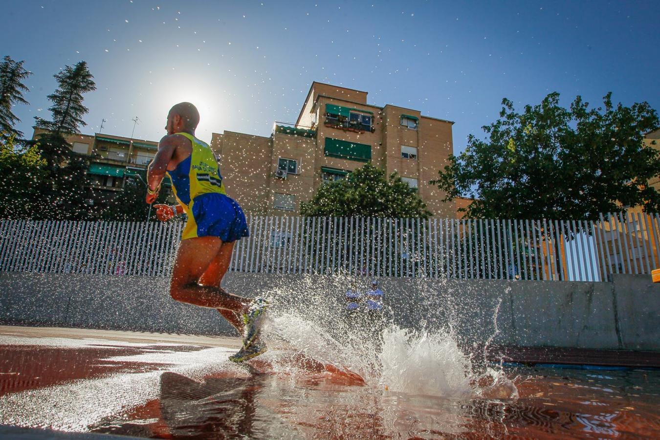 Granada luce en su fiesta del tartán