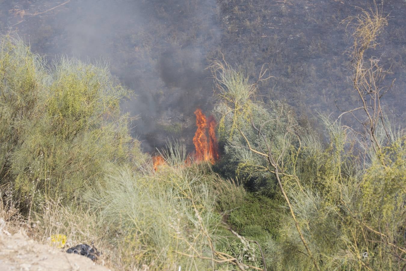 Las imágenes del incendio en el barranco de San Jerónimo