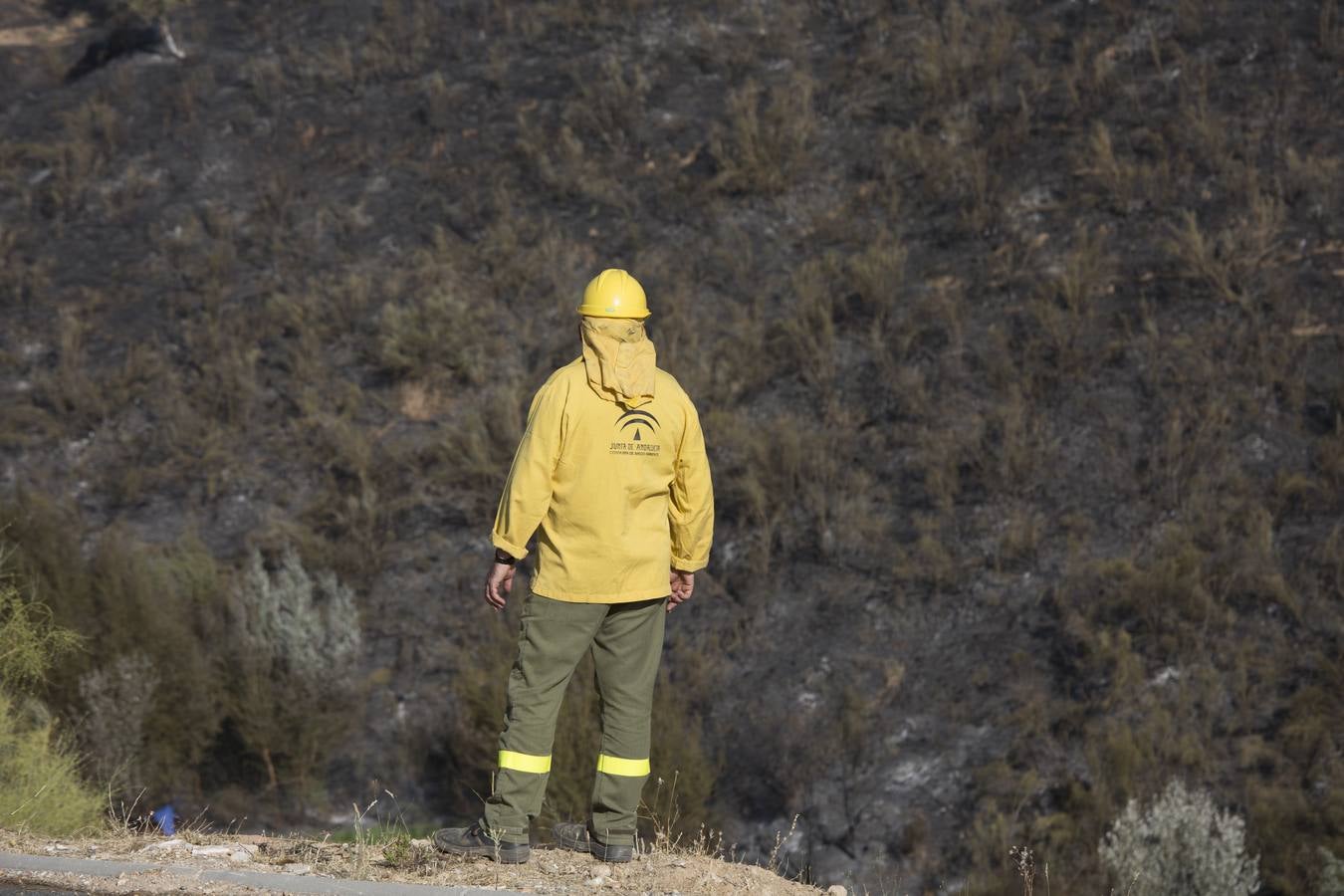 Las imágenes del incendio en el barranco de San Jerónimo