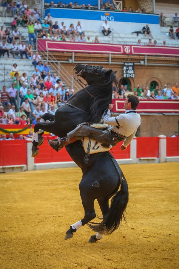 A pie por la Puerta Granda