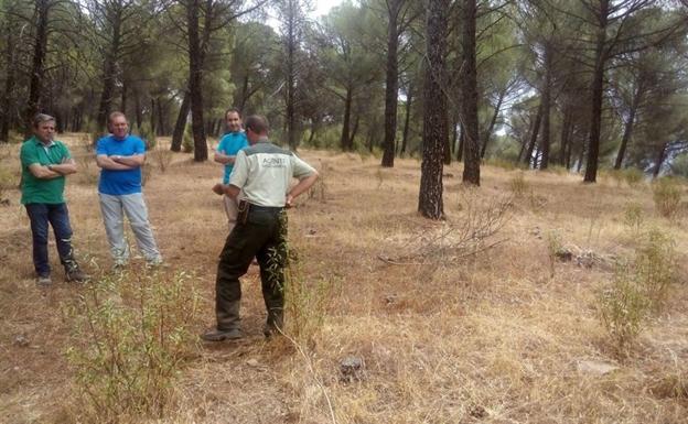 La Junta proyecta una nueva zona de acampada controlada en Despeñaperros