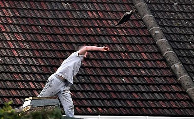 Una negociación de 6 horas termina tras ofrecer al sospechoso una hamburguesa de McDonald's