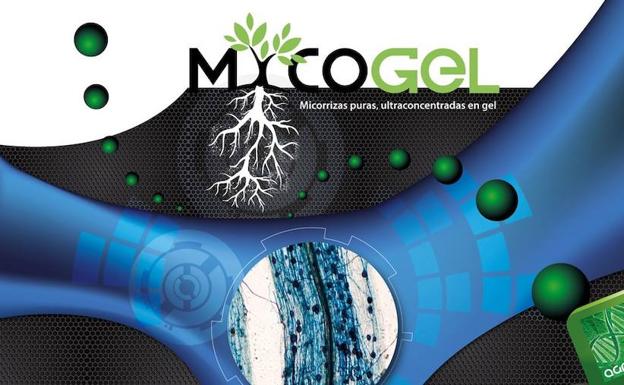 Protección para tus cultivos con Mycogel en Agroquímicos Céspedes