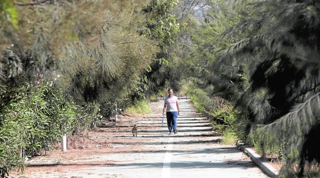 Un vecino camina por el vial que se extiende junto a la pista deportiva de Varadero y CLH, a día de hoy llena de hierbas.