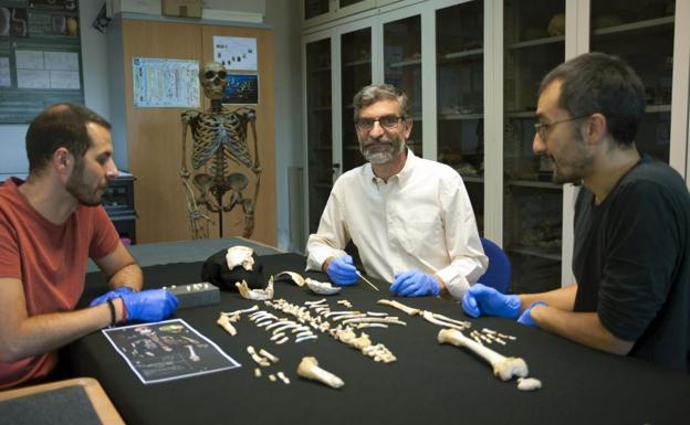 Los crecimientos de un neandertal de siete años y un sapiens son muy similares