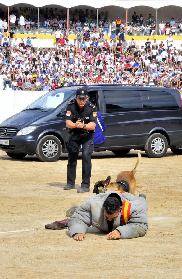 La Plaza de Toros acogió la exhibición del servicio que realizan las unidades policiales