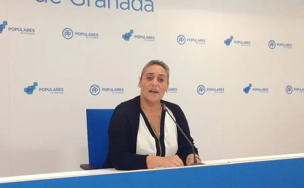 El PP pide a la Diputación de Granada que traslade al fiscal "las irregularidades del Magrec"