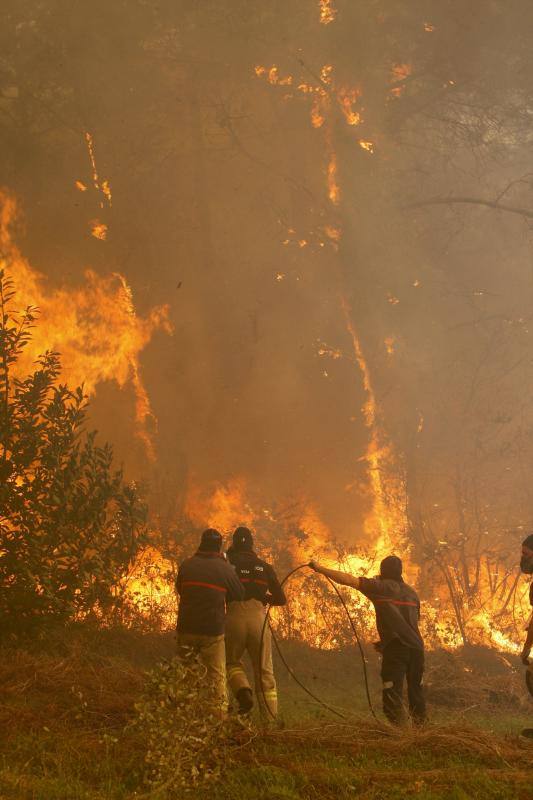 Unos 350 brigadas, 220 motobombas, cuarenta palas y una veintena de medios aéreos trabajan en la comunidad gallega para combatir los incendios que arrasan más de 4.000 hectáreas en 146 nuevos focos desde el viernes