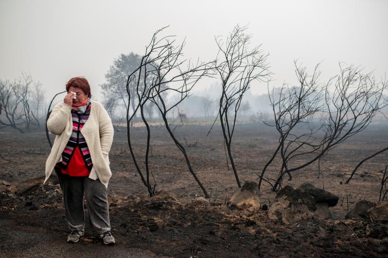 Unos 350 brigadas, 220 motobombas, cuarenta palas y una veintena de medios aéreos trabajan en la comunidad gallega para combatir los incendios que arrasan más de 4.000 hectáreas en 146 nuevos focos desde el viernes