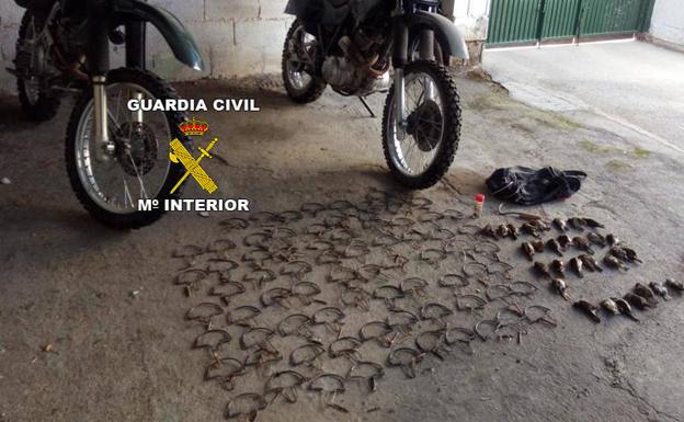 Dos investigados en Mancha Real y Torredelcampo por cazar aves insectívoras con artes prohibidas