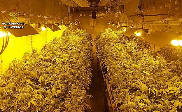 Descubren en Gójar un laboratorio para la obtención de resina de hachís