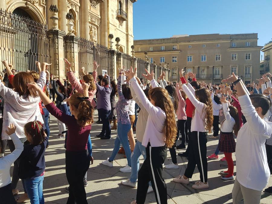 Domingo flamenco en la Catedral de Jaén