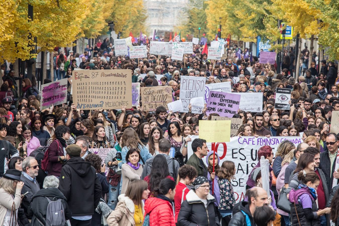 La Plataforma 25 de Noviembre en Granada, integrada por colectivos feministas, sindicatos y grupos políticos, ha puesto este año especial acento en el caso de Juana Rivas durante la manifestación, en la que, según un portavoz de la Policía Local, han participado este mediodía más de 20.000 personas por las calles del centro de esta capital andaluza