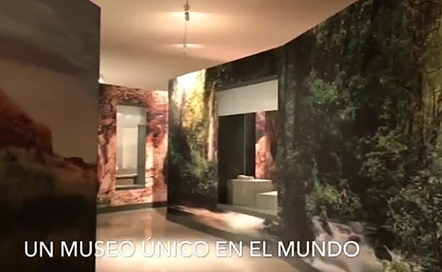 Revelan detalles de lo que se podrá ver en el Museo Íbero