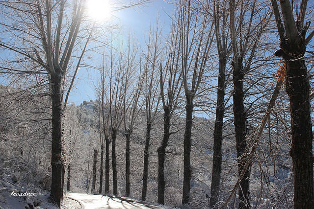El nacimiento del río Segura y el entorno de Pontones, nevados