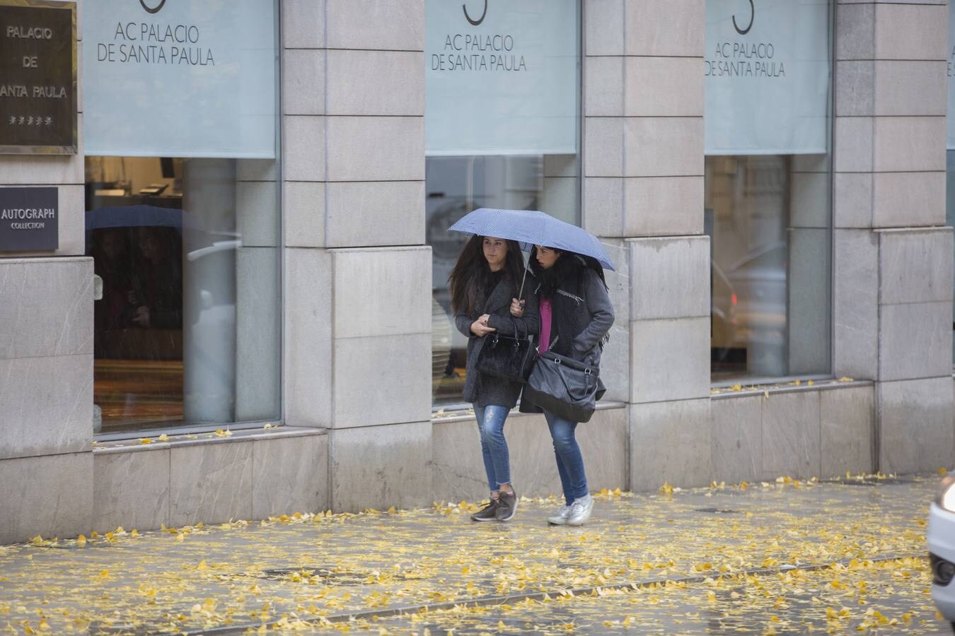 Granada vivió un 11 de diciembre lluvioso