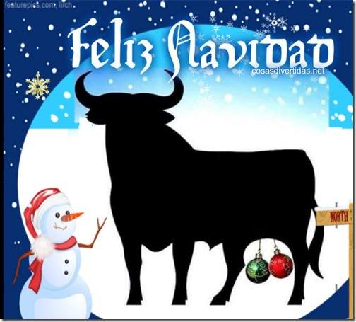 Algunas ideas para esta Navidad