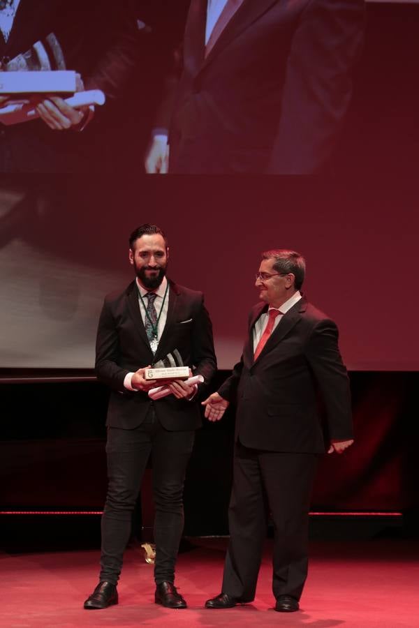 Diputación de Granada entrega sus Honores y Distinciones