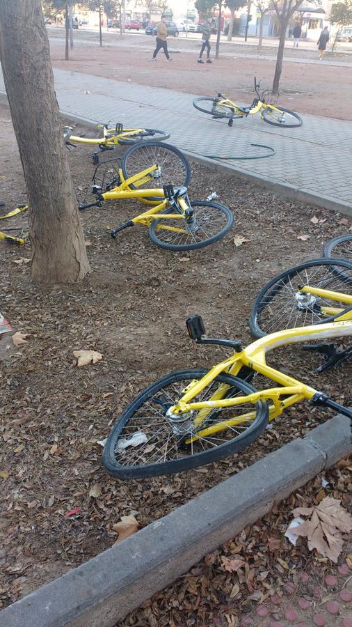 Los servicios de alquiler de bicicletas de la capital sufren varios incidentes en las últimas semanas