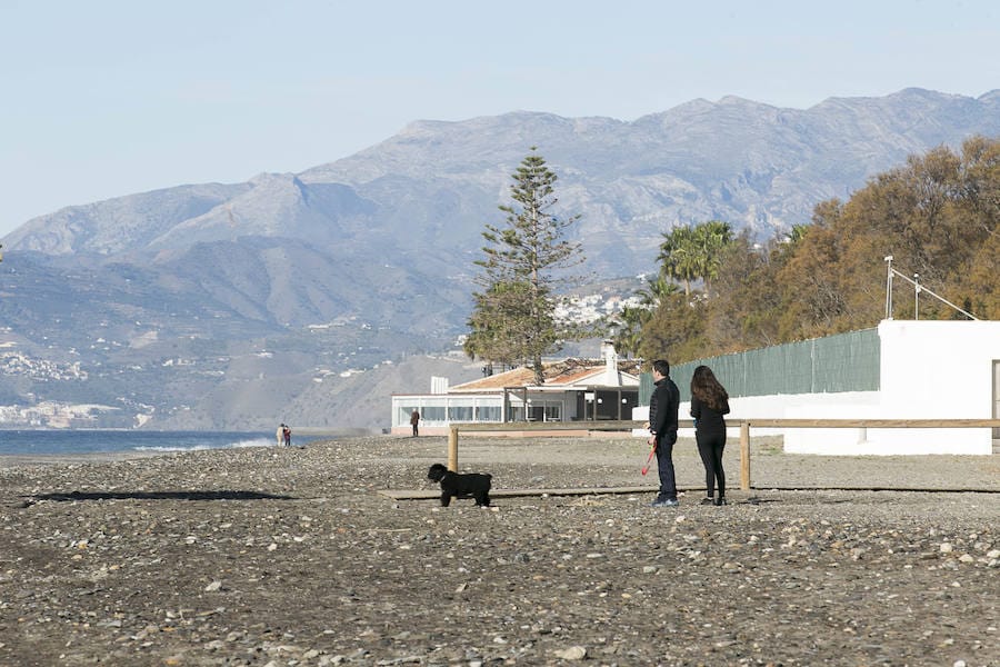 Mientras en el interior de la provincia se preparan para la nieve de este fin de semana en la Costa Tropical disfrutan de un plácido día de playa