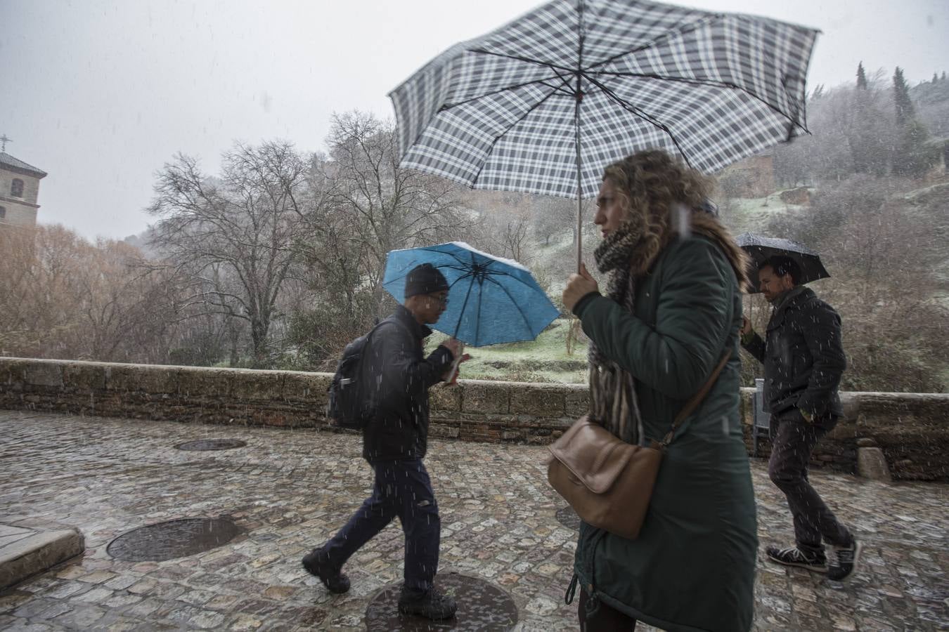 Granada lució de blanco el día de Reyes